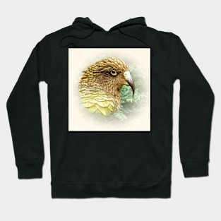 Kea Hoodie